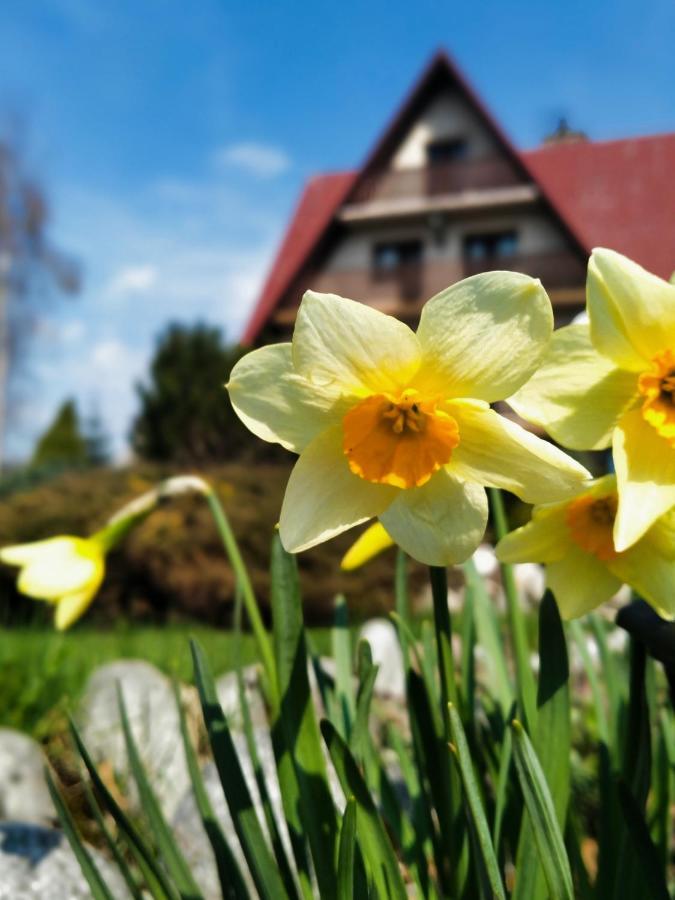 Dom Na Brzyzku Otel Poronin Dış mekan fotoğraf